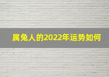 属兔人的2022年运势如何