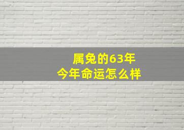 属兔的63年今年命运怎么样