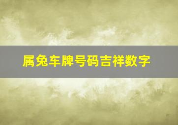 属兔车牌号码吉祥数字