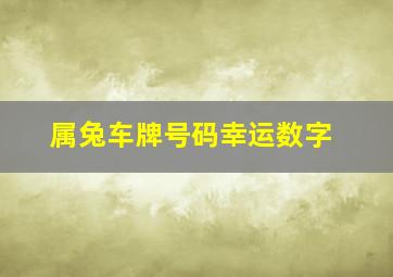 属兔车牌号码幸运数字