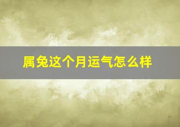 属兔这个月运气怎么样