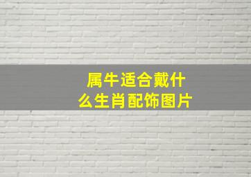 属牛适合戴什么生肖配饰图片