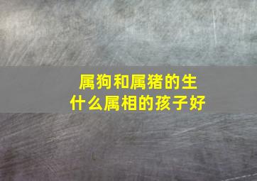 属狗和属猪的生什么属相的孩子好