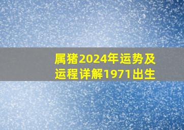 属猪2024年运势及运程详解1971出生