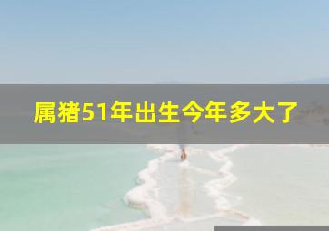 属猪51年出生今年多大了