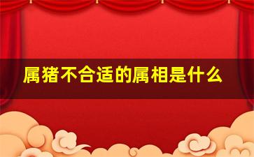 属猪不合适的属相是什么