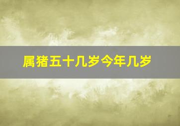 属猪五十几岁今年几岁