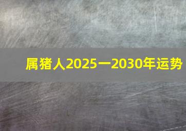 属猪人2025一2030年运势