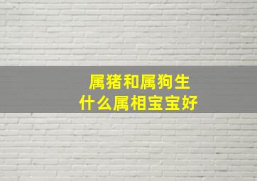 属猪和属狗生什么属相宝宝好