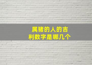 属猪的人的吉利数字是哪几个