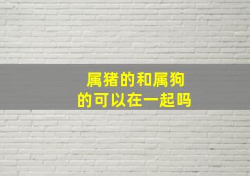 属猪的和属狗的可以在一起吗