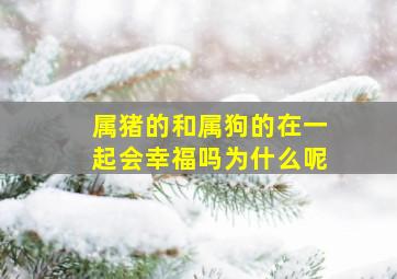 属猪的和属狗的在一起会幸福吗为什么呢