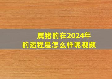 属猪的在2024年的运程是怎么样呢视频