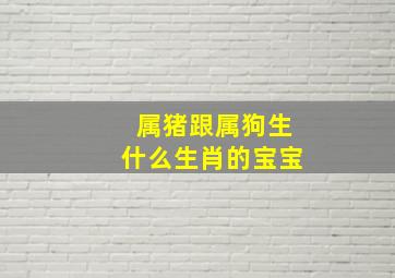 属猪跟属狗生什么生肖的宝宝