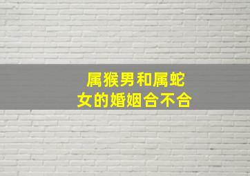 属猴男和属蛇女的婚姻合不合