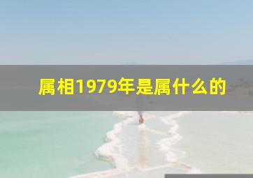 属相1979年是属什么的