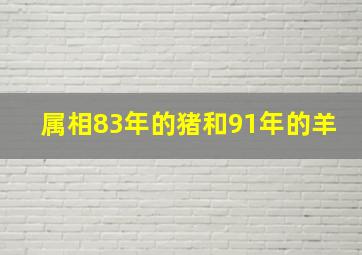 属相83年的猪和91年的羊