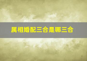 属相婚配三合是哪三合