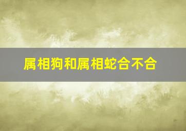 属相狗和属相蛇合不合