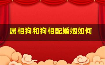 属相狗和狗相配婚姻如何