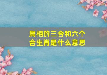 属相的三合和六个合生肖是什么意思