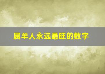 属羊人永远最旺的数字