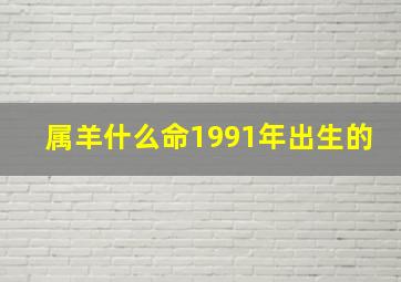 属羊什么命1991年出生的