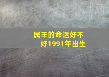 属羊的命运好不好1991年出生