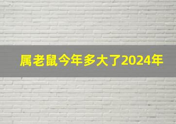 属老鼠今年多大了2024年