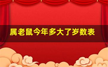 属老鼠今年多大了岁数表