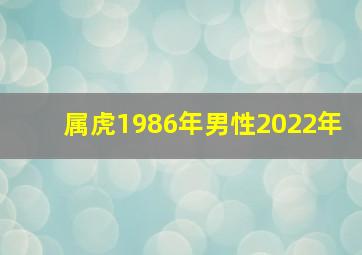 属虎1986年男性2022年