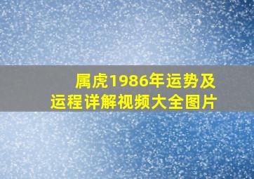 属虎1986年运势及运程详解视频大全图片