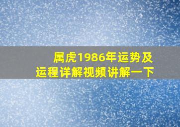 属虎1986年运势及运程详解视频讲解一下