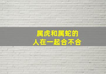 属虎和属蛇的人在一起合不合