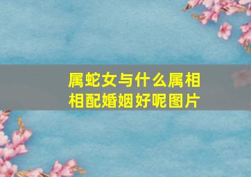 属蛇女与什么属相相配婚姻好呢图片