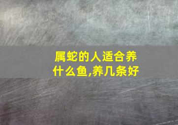 属蛇的人适合养什么鱼,养几条好