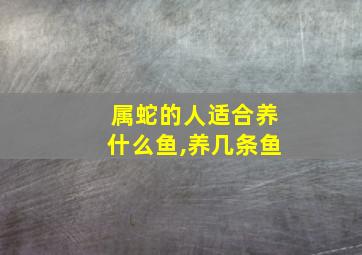 属蛇的人适合养什么鱼,养几条鱼