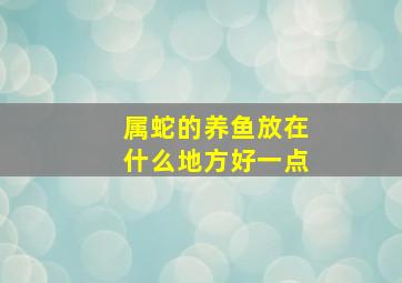 属蛇的养鱼放在什么地方好一点