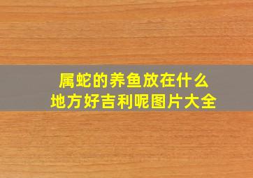 属蛇的养鱼放在什么地方好吉利呢图片大全