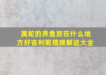 属蛇的养鱼放在什么地方好吉利呢视频解说大全