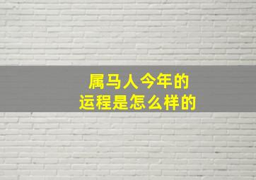 属马人今年的运程是怎么样的