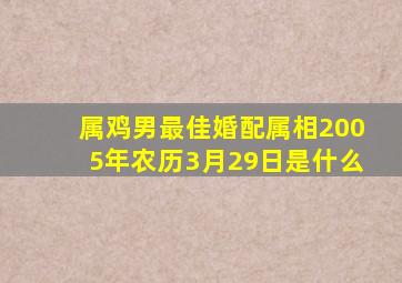 属鸡男最佳婚配属相2005年农历3月29日是什么