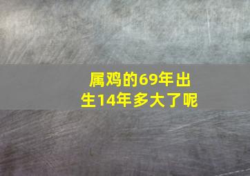 属鸡的69年出生14年多大了呢