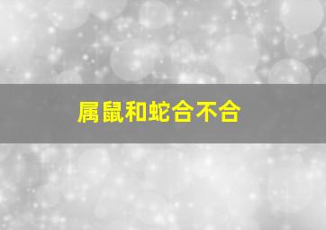 属鼠和蛇合不合