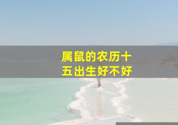 属鼠的农历十五出生好不好