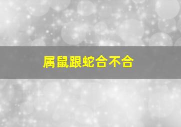 属鼠跟蛇合不合