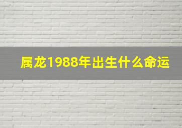 属龙1988年出生什么命运