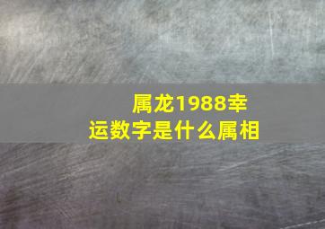 属龙1988幸运数字是什么属相