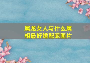 属龙女人与什么属相最好婚配呢图片