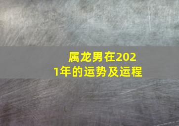 属龙男在2021年的运势及运程